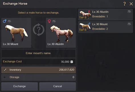 bdo male or female horse.